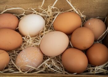 Ilustrasi harga sembako. Sumber: Unsplash.