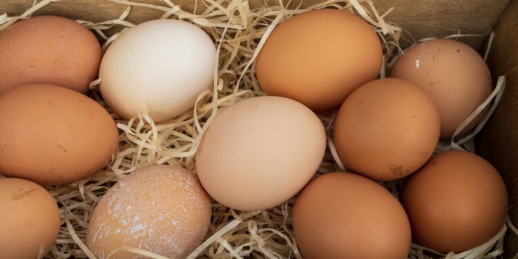 Ilustrasi harga sembako. Sumber: Unsplash.